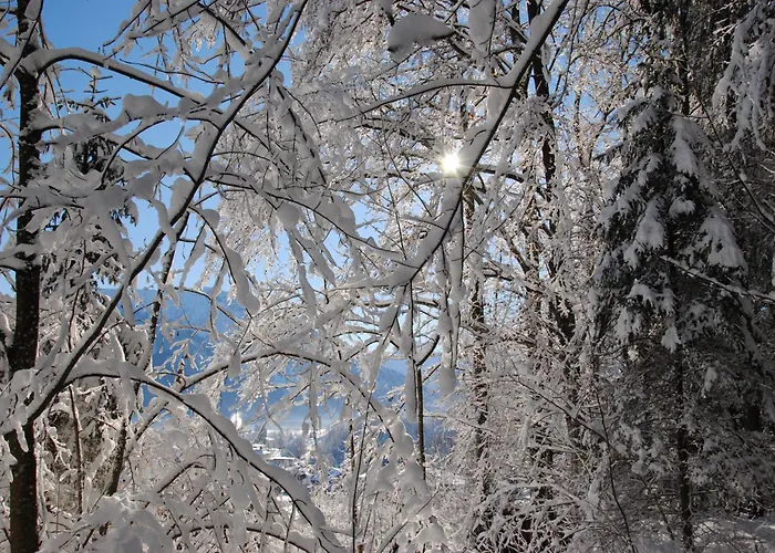 Gaestehaus Schroeder Рупольдинг