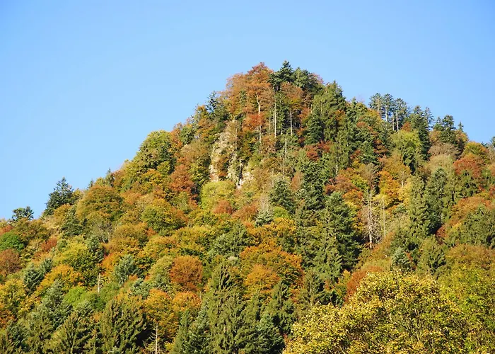 Gaestehaus Schroeder 3*